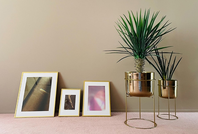 And Couture Web Limited Items