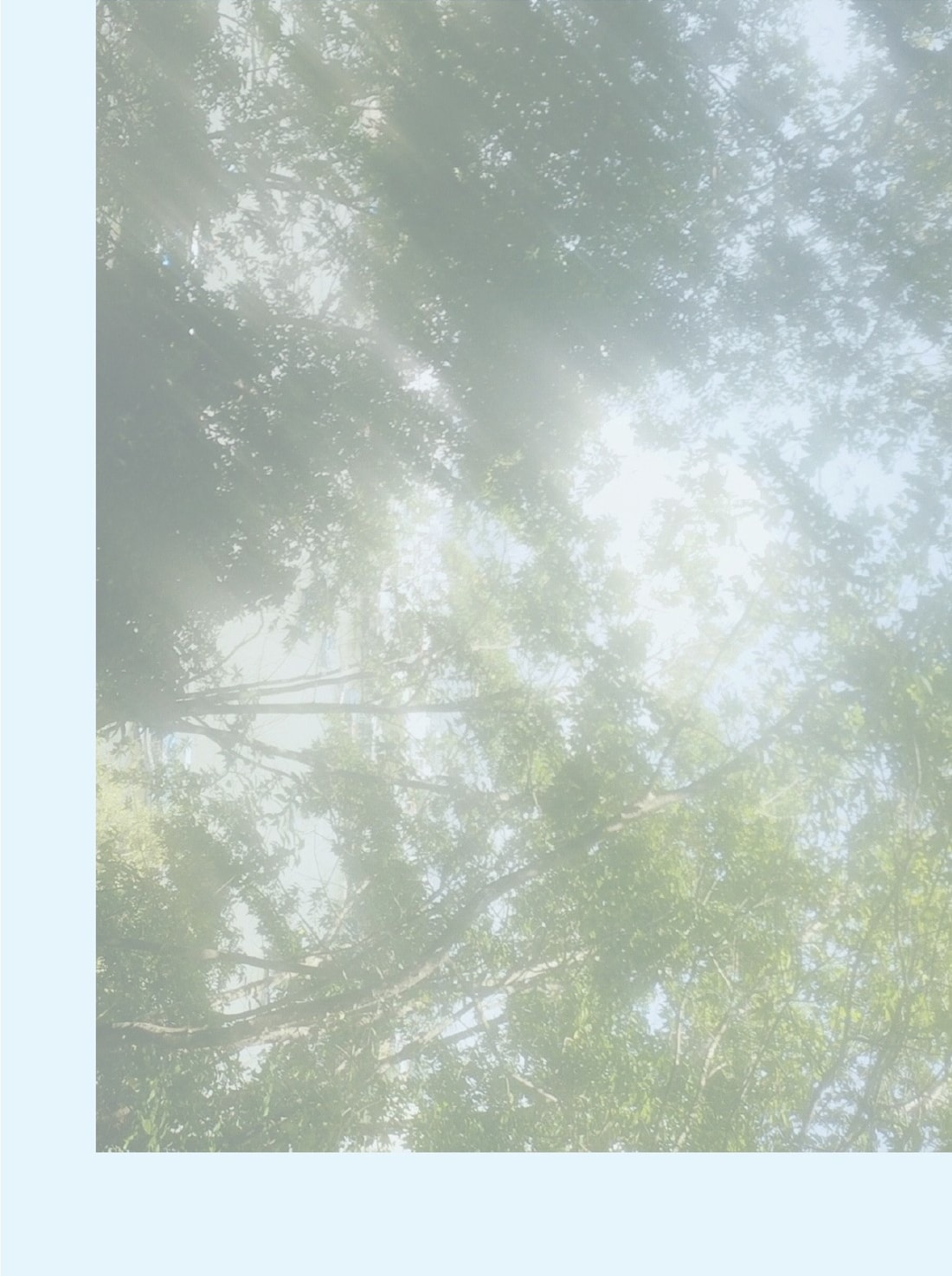 1st SUMMER COLLECTION_2-1