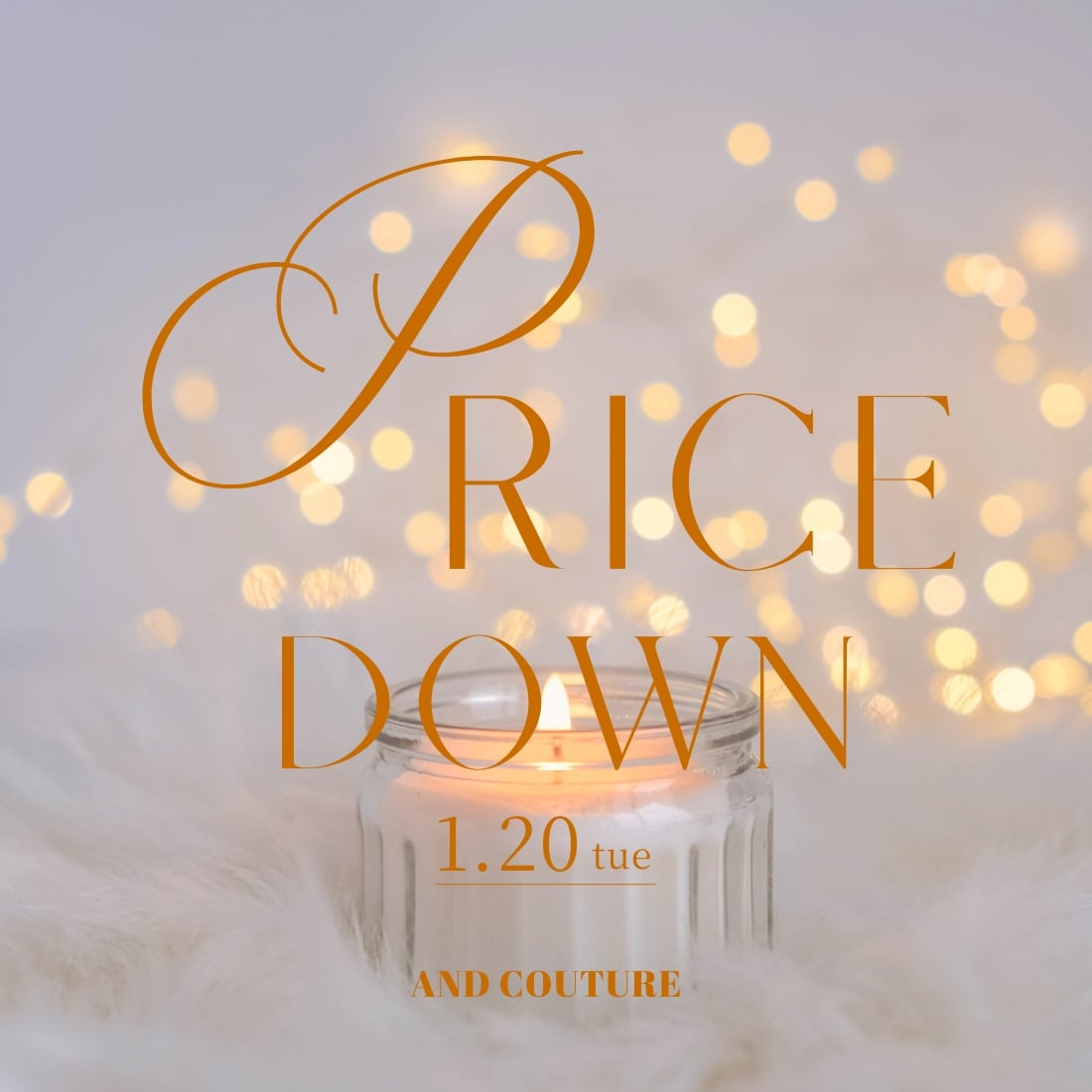 1/20 PRICE DOWN ITEMS