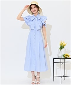 ブルーストライプ