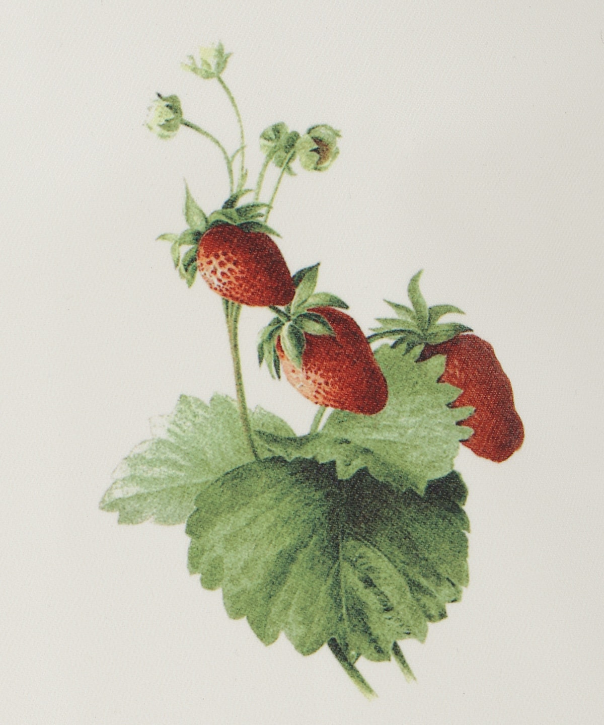 【12/5(fri)10時発売】ウィンターボタニカルトートバッグ