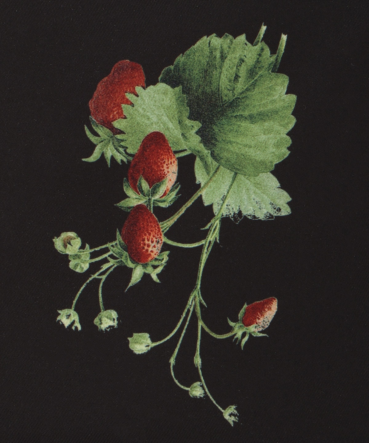 【12/5(fri)10時発売】ウィンターボタニカルトートバッグ