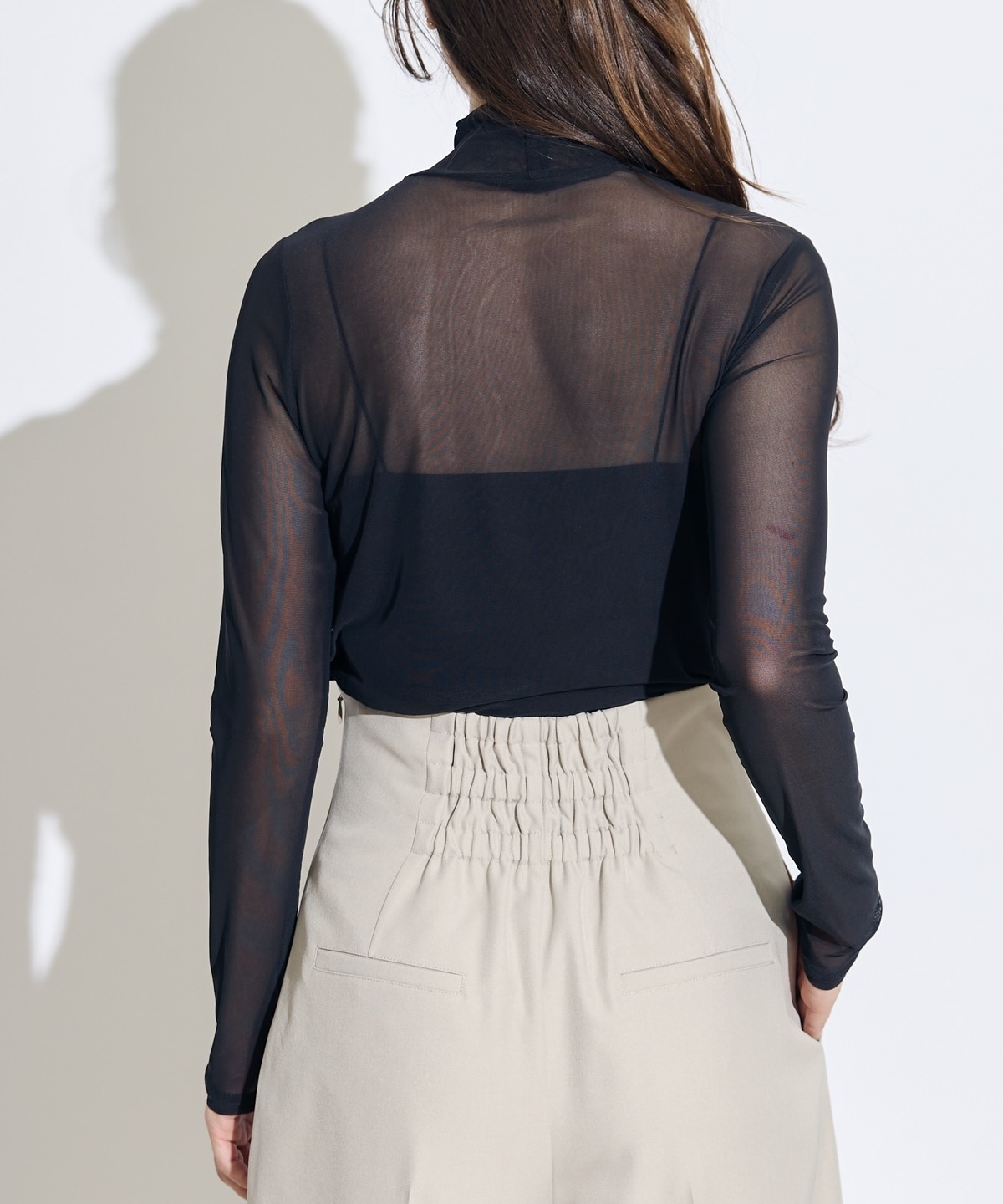 シアーチュールタートル