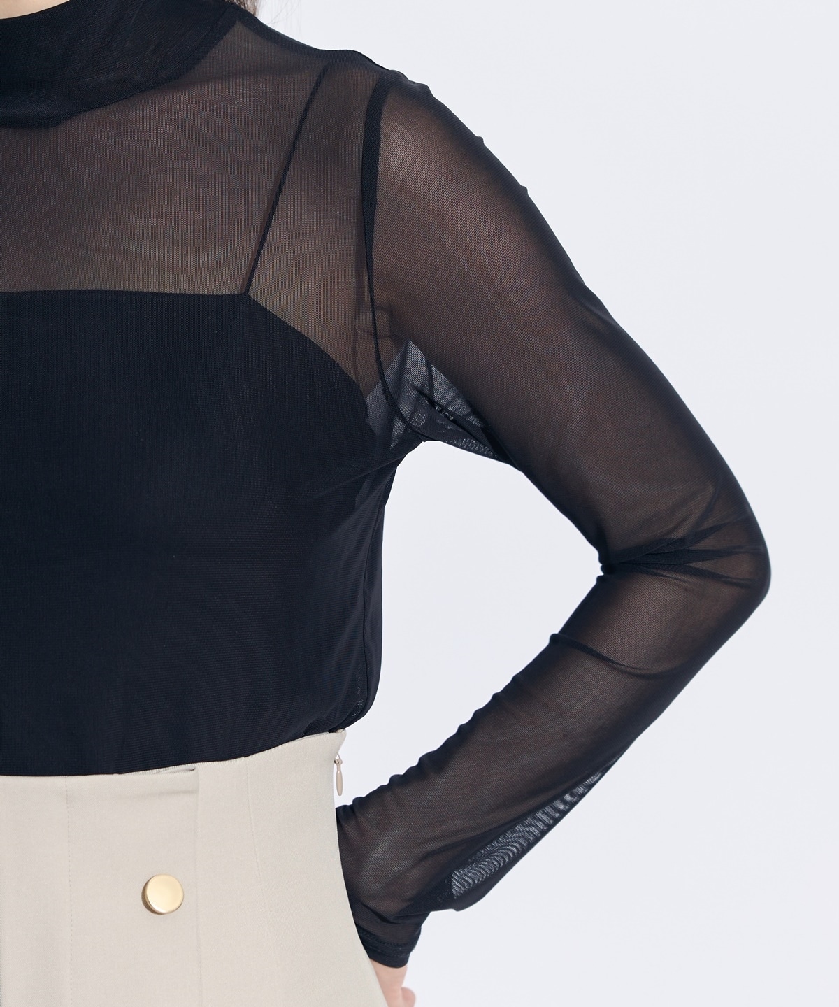 シアーチュールタートル