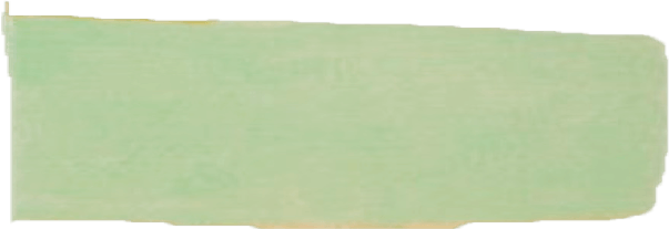 2022 SPRING 【Sunny Mode Girl】 REDYAZEL