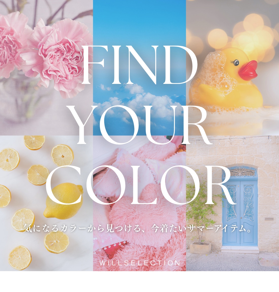 WILLSELECTION COLOR ITEMS ウィルセレクション